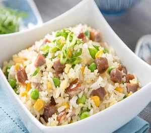 knorr-chinese-pork fried rice