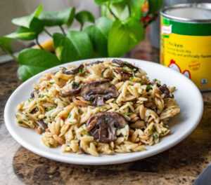 Mushroom Orzo
